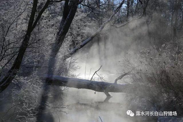 赵丽颖穿皮裤被赞身材好，为什么邓紫棋穿皮裤却屡屡翻车？